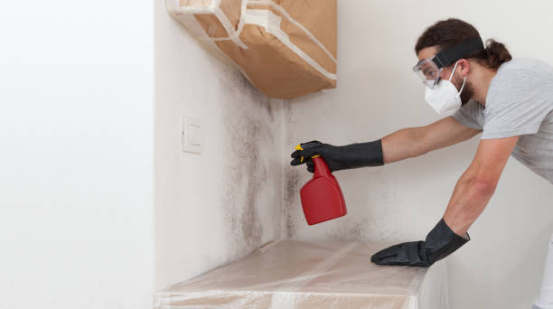 Professional Basement Mold Removal technician working in East Waterford, PA